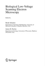 Biological Low-Voltage Scanning Electron Microscopy