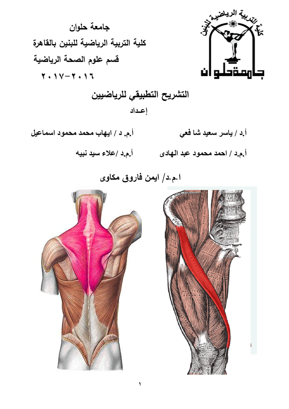 التشريح التطبيقي للرياضيين