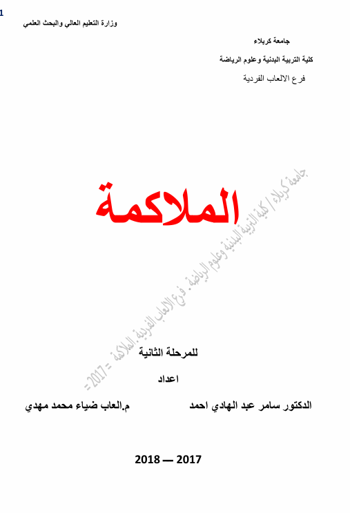 الملاكمة 2