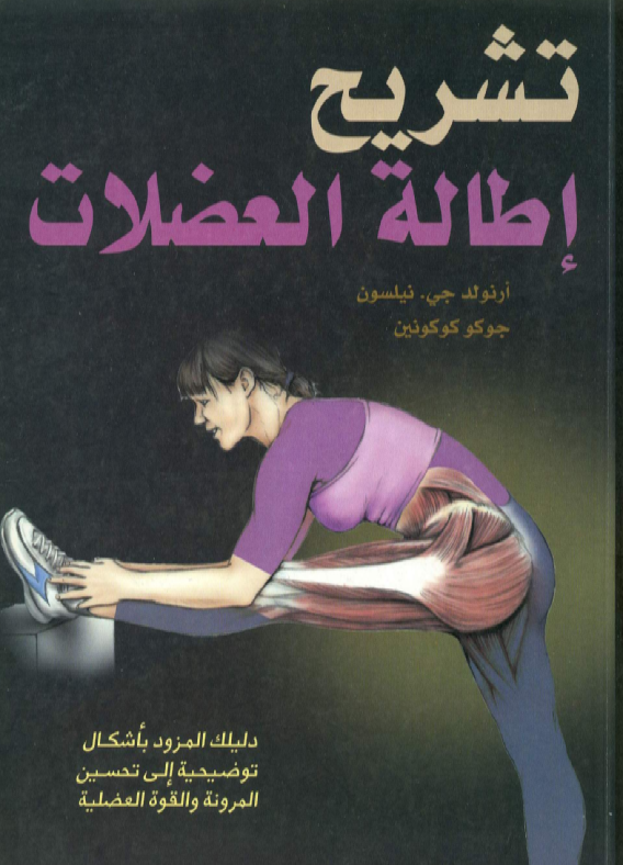 تشريح اطالة العضلات