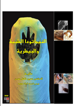 النيماتودا الطبية والبيطرية