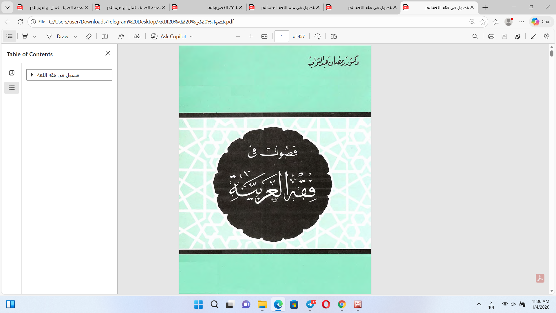 فصول في فقه اللغة Cover