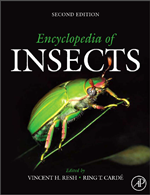 Encyclopedia of Insects
