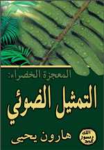 التمثيل الضوئي