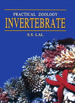 PRACTICAL ZOOLOGY INVERTEBRATE