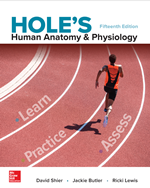 HOLE’S HUMAN ANATOMY& PHYSIOLOGY