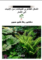 الشكل الظاهري للنباتات