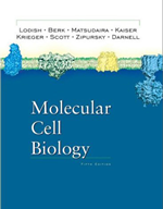 Molecular Cell Biology