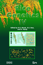 Rice Genetics IV