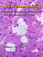 Atlas of Human Histology